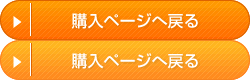 購入ページに戻る